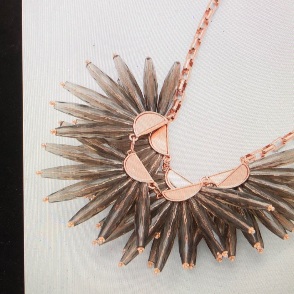 NWT Ted Baker Flare Burst Necklace